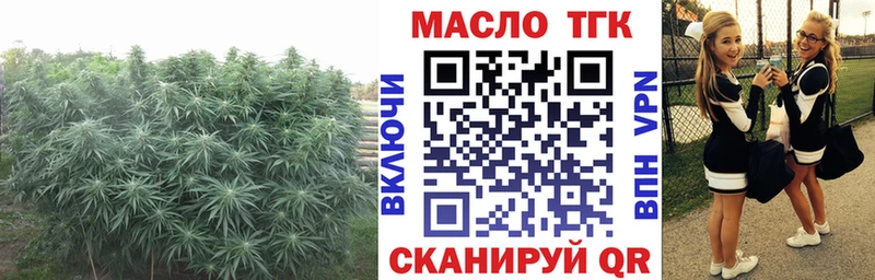 даркнет сайт  Новоаннинский  Дистиллят ТГК Wax 