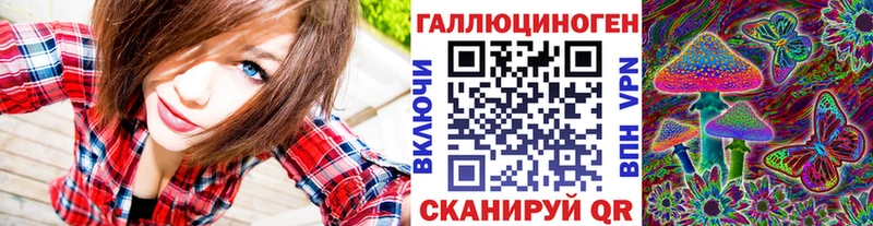 blacksprut зеркало  Новоаннинский  Псилоцибиновые грибы Psilocybe 